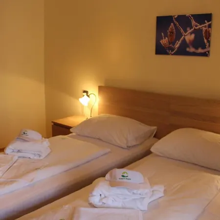 Kekestetoi Medical Otel 2*